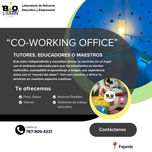 Co-working office services